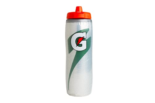 Gatorade Insulated 30oz Squeeze Bottles, Silver and Black
