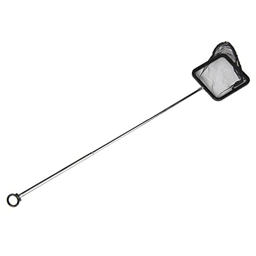 Stainless Steel Fishnet Square Extendable Fish Net High Density Fishnet Applicable to Aquarium Black 1 Pcs Attractive and Fashion