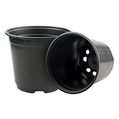 KINGLAKE 100 Pcs 6" Plastic Plants Nursery Pots Seedlings Flower Plant Container Seed Starting Pots Black - color: Black, size: 6 Inch