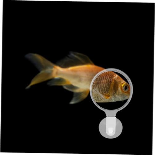Happyyami Aquarium Magnifier with Strong Suction Cup for Fish Tank Viewing and Plant Observation Acrylic Small Animal Magnifying Glass for Detailed Aquatic and Inspection