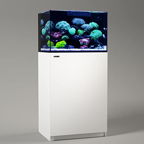 60P 26.23 Gallon Ultra Clear All Glass Rimless Low Iron Aquarium Tank with Rear Filtration Chamber for Salt and Fresh (Return Pump Included) 23.6Wx17.7Dx15.8H in(60x45x40cm) 8mm Thickness