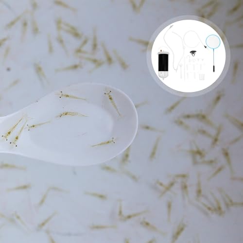 SEWACC Brine Shrimp Hatchery Box Plastic Breeding Incubator Container Shrimp Egg Hatching Tank for Aquarium Fish and Aquatic Pets