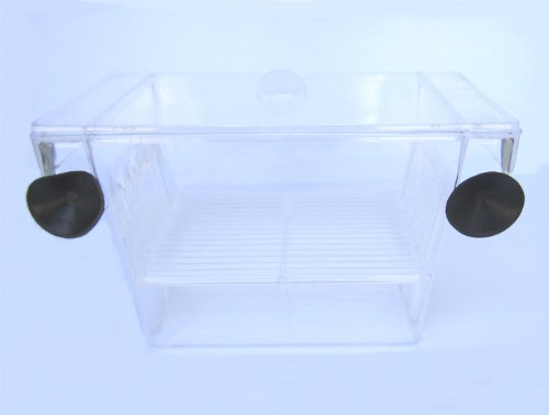 YML Fish Hatchery Tank, 5 by 2.75 by 2.75-Inch