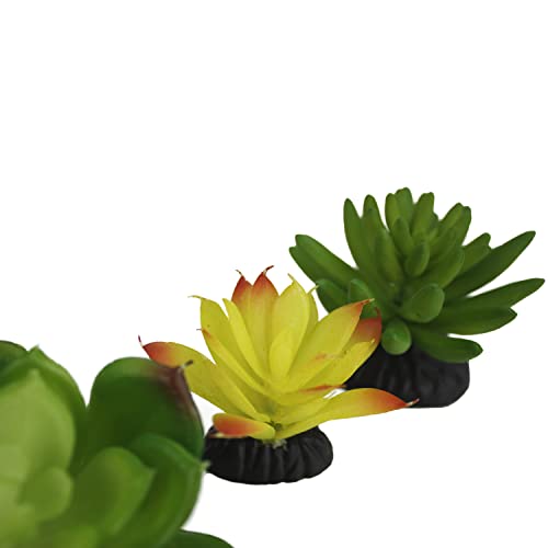 Komodo Reptile Terrarium Succulent 3PK Yellow/Green Plants | Natural Looking Artificial Aquarium Ornament & Habitat Decoration Accessory with Weighted Base
