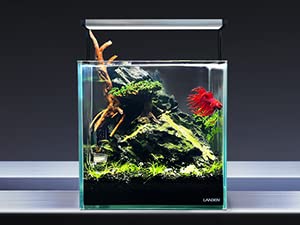 Dark SEIRYU Stones Natural Rocks (3~11 inches,11pcs) x2 40Lx 2 Cases Total 80L 37lbs for Aquarium, Paludarium, Terrariums, Landscaping Rocks, Decorative Aquarium Rocks - size: 09 Dark Seiryu Stones(3-11inch,36lbs)