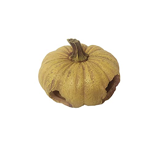 Shelltech Reptile Hideout Resin Aquarium Decoration Pumpkin House for Small Fish,Shrimps,Frogs,Gecko, Spider,Turtle and Snake (Pumpkin)