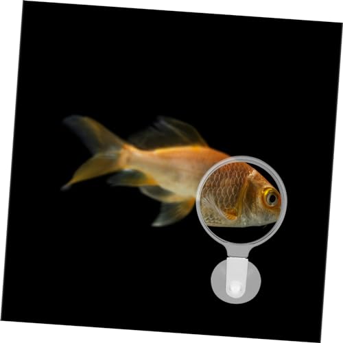 POPETPOP Aquarium Magnifier Cup Small Animal Viewer for Fish Tank Observation for Betta Fish Ants and Spiders Easy to Install and Use