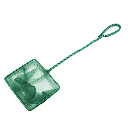Aquarium Net,Fish Landing Net, Aquarium Fish Net Long Handle Aquarium Fish Fishing Net Portable Green Fishbowl Fishing Landing Net Floating Objects Clean Tools(6 inch)