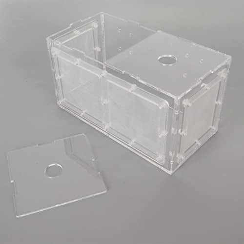 Fish Breeding Box, Acrylic Aquarium Acclimation Hatchery Incubator , Adjuatable Hook Fixing Fish Isolation Box with Lid and Mesh for Baby Fishes, Shrimp, Clownfish, Guppy