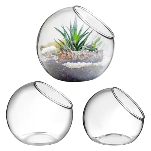 ibasenice 3Pcs Glass Terrarium Bowls Air Plant Holders Hydroponic Planters Small Round Vases for Home Office Desktop Display