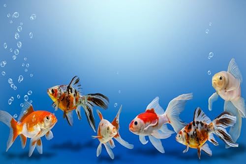 5x3ft Fish Tank Backdrop Aquarium Underwater Goldfish Bubbles Blue Background Diving Holiday Fishing Party Decoration Photo Props Wallpaper