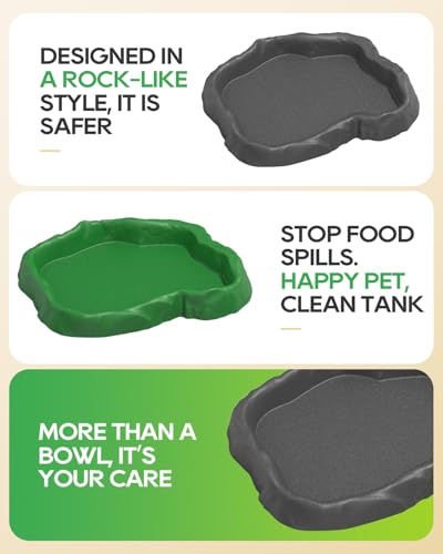 4Pcs Snail Food and Water Bowl, Reptile Water Dish and Food Bowl, Natural Design Terrarium Feeding Dish for Garden Snails, Hermit Crab, Lizard, Frog, Gecko (Black, Green)