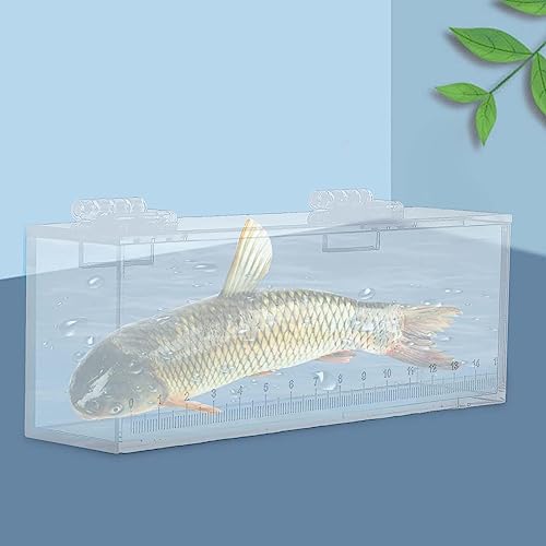 Acrylic for Fishing Photo Tank, L