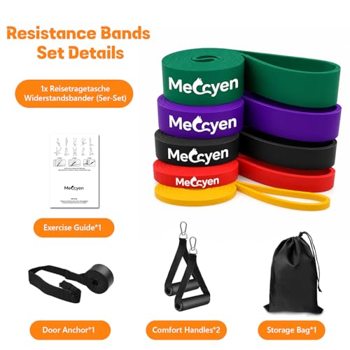 5-Pack Resistance Bands Set, Exercise Bands with Handles & Door Anchor, Stretch Bands for Pull Up Assistance, Home Gym & Strength Training