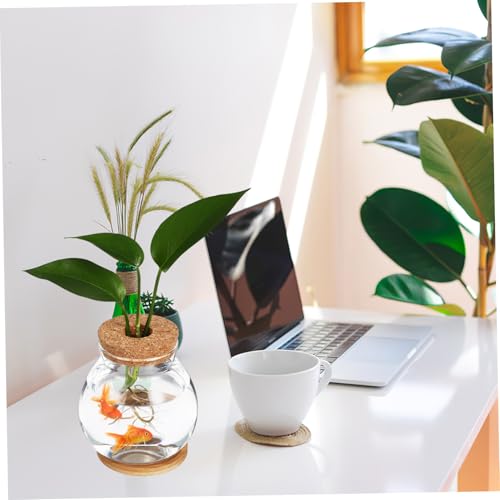 Generic Desktop Glass Fish Bowl Aquarium with Base Hydroponic Terrarium for Betta Fish and Plants with Mat Decorative Desktop and Shelf Use