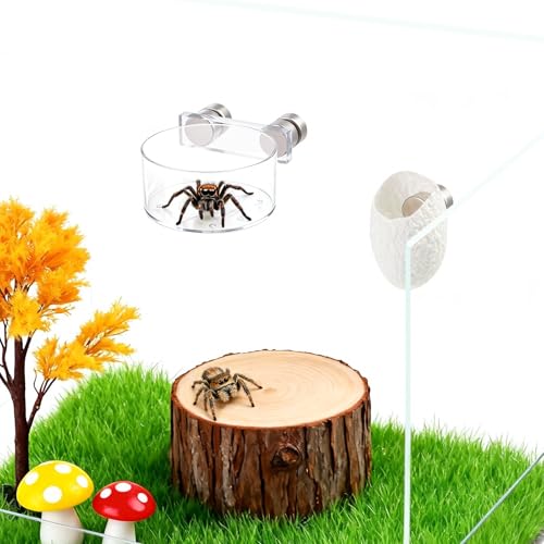 Jumping Spider Feeding Dish Set, Magnetic Water Bowl & Silk Cocoons with Magnets - Reptile Feeding Tongs and Complete Enclosure Accessories Kit