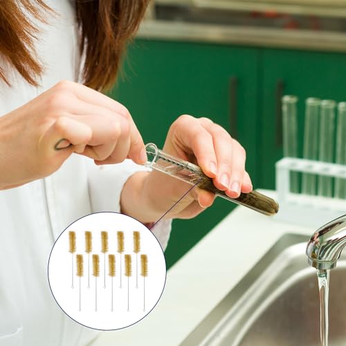 Test Tube Brushes, 10 Pack Bristle Test Tube Bottle Wash Cleaning Brushes with Radial Tufted End Suitable for Laboratory Use, Size L