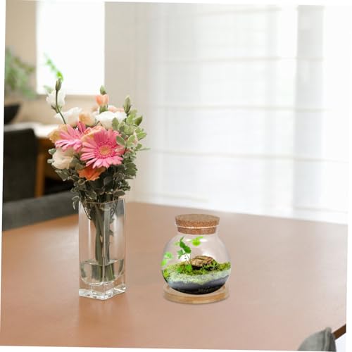 BESTYASH 2Set Hydroponic Glass Vases with Mat Desktop Plant Propagation Station for Fish Tank Plants Stylish Tabletop Fish Bowls for Home Office Decor and Plant Lovers