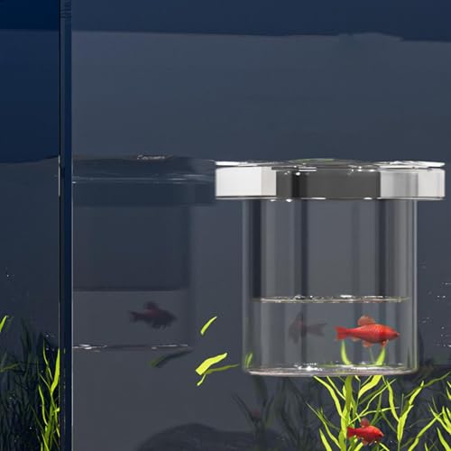 Fish Tank Breeder Box - Fish Breeder Box for Aquarium | Safe Divider Hatchery Incubator | Feeding Container for Fry, Egg, Shrimp, Guppy, Acclimation, Angelfish, Betta, PP Material