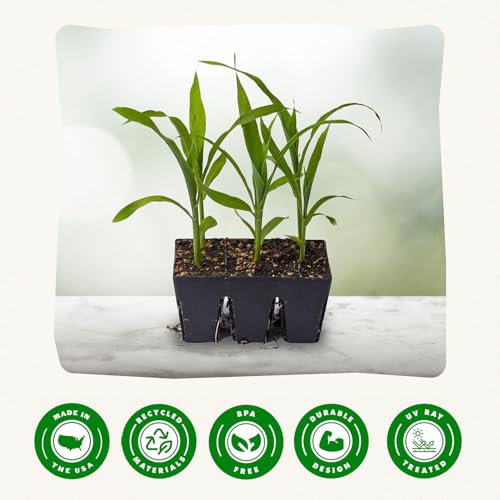 Reusable Seed Starter Tray - Easy Watering Seed Starting Trays - Gardener Friendly Plant Trays for Seedlings | UV-Treated & BPA-Free -6-Cell Seed Starting Trays - 6 Trays/Black