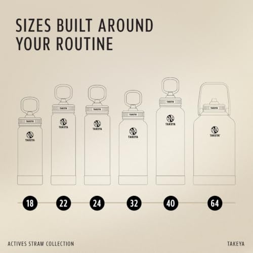 Takeya 18 oz Actives Stainless Steel Water Bottle with Straw Lid – Leakproof, Double-Wall Insulated, Keeps Drinks Cold 24 hrs/Hot 12 hrs, BPA-Free, Powder-Coated, Gym & Travel, Ombre Dream - color: Ombre Dream, size: 18 Ounces