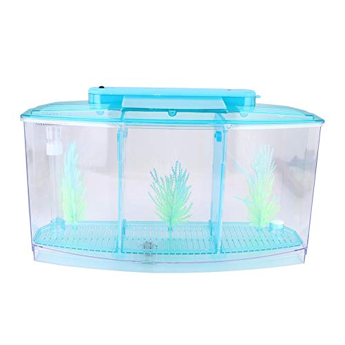 Small Fish Isolation Fish Tank, LED Acrylic Aquarium Fish Tank, Transparent Fish Isolation Box with 2 Isolation Plates for Small Fishes Betta Shrimp Guppy (Blue)