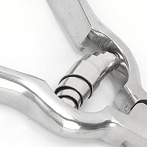 Pig Tooth Nipper Pliers, Stainless Steel Pig Teeth Clippers, 14cm/5.5in Pig Teeth Cutting Tool with Ergonomic Handle, Gourd Shaped Piglet Teeth Pliers for Home and Farm