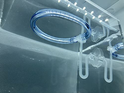 20+ Leaves Amazon Frogbit (+Free Bonus Plant +Invisible Feeding Ring) Live Floating Plant for Aquarium (Limnobium Laevigatum) by Aquarigram - size: Plants + Invisible Feeding Ring (see video)