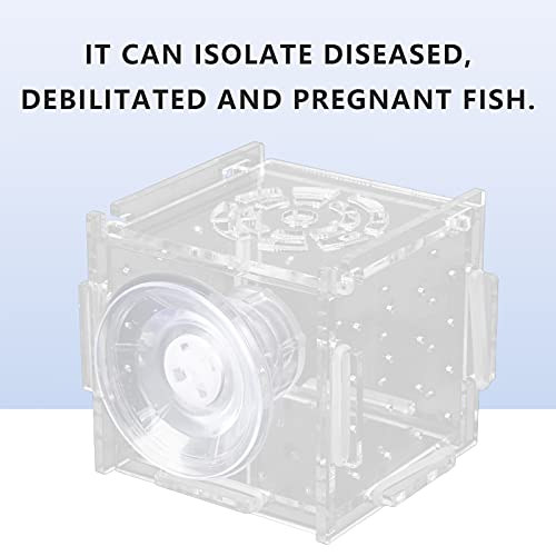 MAVIS LAVEN Fish Isolation Box, Acrylic Breeding Hatchery with Feeding Hole, 1.5mm Openings for Baby Fish and Shrimp, Easy Mounting for Aquariums (Single Grid mini 6 * 6*)