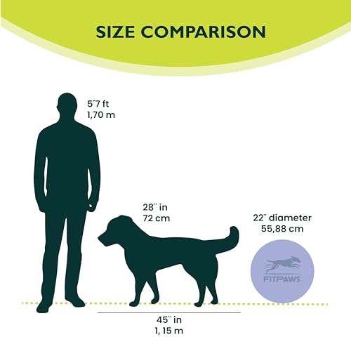 FitPaws® Dog Balance Disc, Exercise Equipment, Rehabilitation + Training, - color: Razzleberry, size: 22"