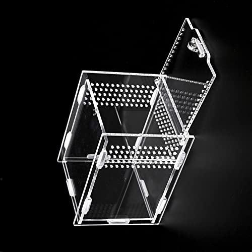 Magnetic Acrylic Case, micro habitat small Tarantula Enclosure enclosure for arboreal Tarantula Scorpion Sling Lizards Mantis Snake Gecko jumping spider snail Insect Isopods (4.7*4.7*7.8 inch)