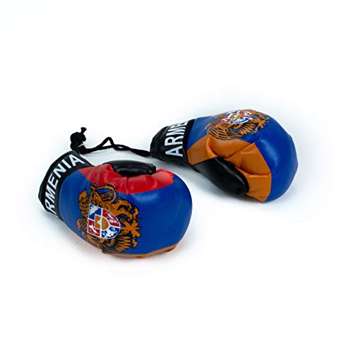 Armenian car Charm Boxing Gloves with Armenian Flag and Emblem Car Hanging Decoration Rearview Mirror Charm