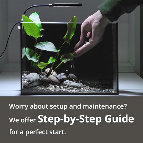 NICREW 2.5 Gallon Nano Nature Aquarium Kit, Ultra-Clear Rimless Desktop Fish Tank with Light and Filter, Perfect for Small Fish, Shrimp, or Betta, Basic Version, Black