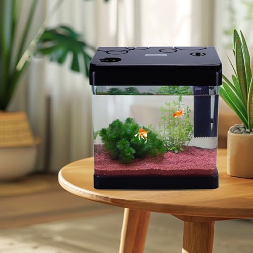 Betta Fish Tank,5 Gallon Glass Aquarium Starter Kit, Small Fish Tank with Filter and Light.