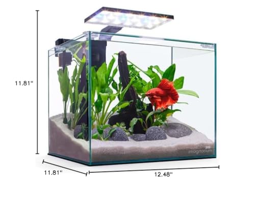 Imagitarium by Petco Glass Betta Aquarium Kit 5 Gallons - size: 5 GAL