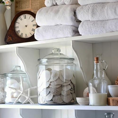 JQAQJU 20PCS Sea Shells for Crafting 3-4", Mini Sand Dollars Starfish Decor for Crafts, Scallop Shells for Cooking, Seashells for Crafts DIY Beach Theme Party Candle Decor Wedding Fish Tank