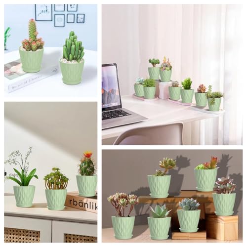 16 Pack 4 Inch Plastic Planter Pots with Tray, Heavy Duty Indoor Outdoor Planter Pots with 48 Drainage Holes for Herbs, Succulents, Seedlings, Flowers Durable and Lightweight Light Green - color: Light Green