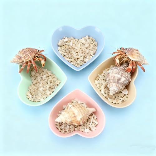 6 Pcs Hermit Crab Plastic Food Dish, Hermit Crab Colorful Food Bowl, Mini Food Dish Kit for Small Animal