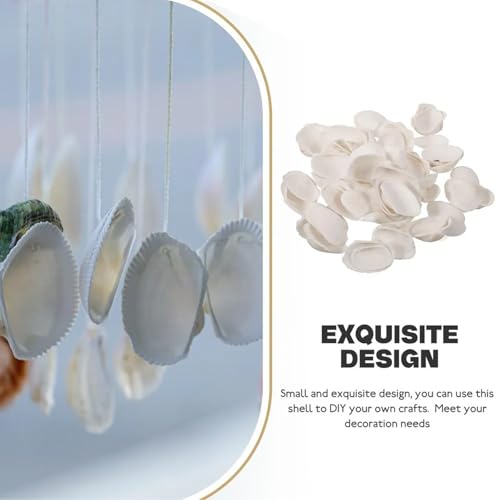 130-140Pcs Bulk Natural Small Seashell - 0.8-1.2 inches White Seashell Small Sea Shells Clams for Home Decor, DIY Crafts, Jewelry/Bracelet Making, Beach Theme Party, Fish Tank Vase Filler - size: 0.8-1.2inches