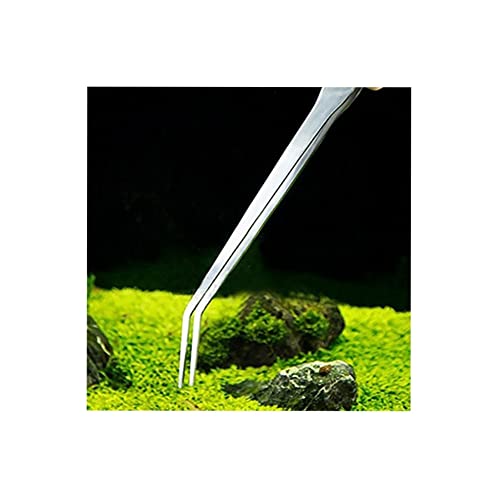 Aquarium Fish Tank Tweezers Aquatic Plant Tweezers Aquarium Clean Stainless Steel Tool Water Grass Curved Clip