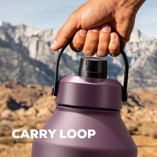 POWCAN 64 oz Insulated Water Bottle with 2-in-1 Straw & Spout Lid, Leakproof, Top Handle, Keep Cold 48H, BPA-Free, Brush, Metal Water Bottle with Carrier Bag for Work, Sports, Travel and Gym (Plum) - color: Plum