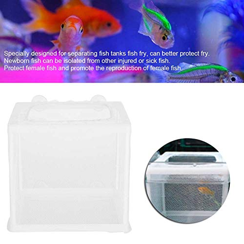 Fish Breeder Box Aquarium Incubator Transparent Plastic Isolation Tank for Newborn Fry Protection 15.7x14x14.9cm with 4 Suction Cups Mesh Net and Stand Columns
