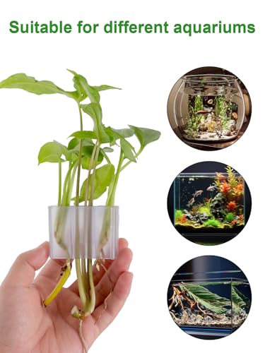 3 Holes Upgraded Aquatic Plant Cup Aquarium Plant Holder for Tank, Hanging Aquarium Plant Holder, Aquarium Aquatic Plant Cultivation, Aquarium Plant Decoration - 2 Pcs White