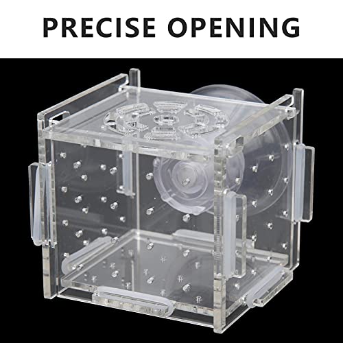 Fish Isolation Box | Acrylic Breeding Hatchery for Young Fishes/Shrimp | 1.5mm Hole Size with Feeding Port & Suction Cup | 6 Panels + 8 Silicone Rings (Single-Cable mini 6 * 6 * 6)