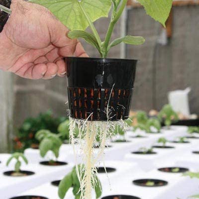 6 Inch Net Cups (12 Pack), Net Pots for Hydroponics, Orchids Mesh Baskets Pots Heavy Duty Hydroponics Supplies with Wide Lip - size: 6 Inch
