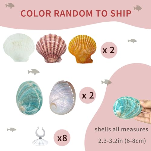Betta Fish Resting Spot Shell Bed 4-Pack — Natural Habitat Style Hideout for Breeding, Spawning & Resting Betta Fish - color: color random 4pcs