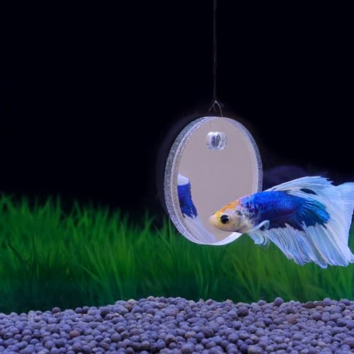 1 Set Clear Betta Training Mirror Fish for Tank Fish Antidepressant Work Out Special for Betta Fitness Mirror Aquarium Decor Floating (5cm)