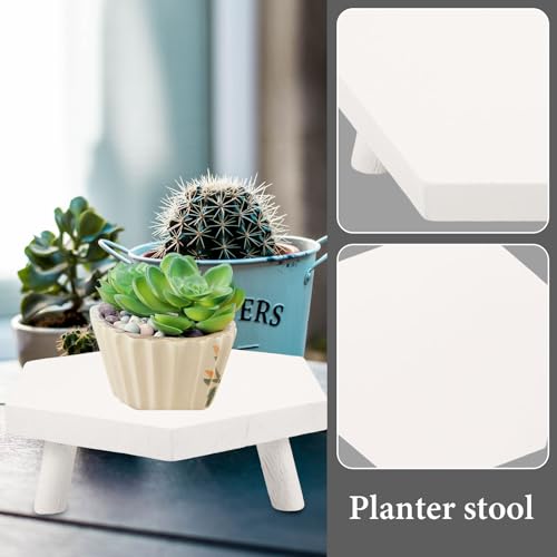 LIOOBO Wooden Plant Display Rack Sturdy Potted Planter Stand Natural Wood Flowerpot Stool for Indoor Outdoor Bonsai Showcase and Small Fish Tank Holder