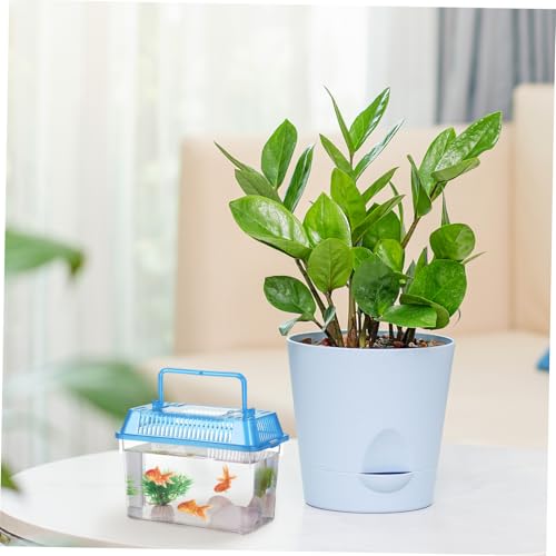 5pcs Portable Handheld Fish Tank Mixed Color Transparent Turtle Feeding Box for Small Pets Lightweight Plastic Breeding Aquarium Ventilation Design Easy to Clean and Operate