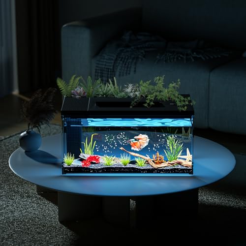 3.7 Gallon Betta Fish Tank self Cleaning,Smart Aquarium Aquarium kit with Filter Light Water Pump (Black)